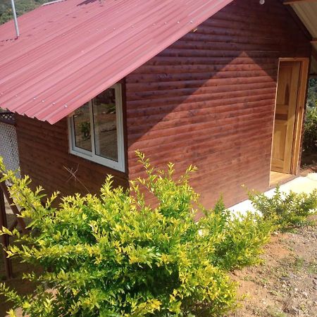 Mario'S Lodge Providencia Copey Exterior photo