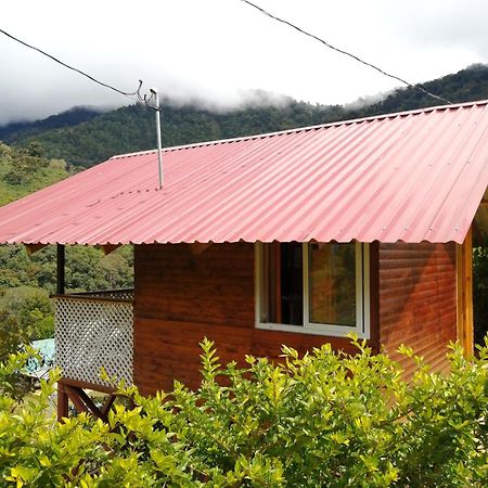 Mario'S Lodge Providencia Copey Exterior photo